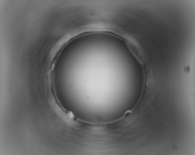 X0000113611472200909251130