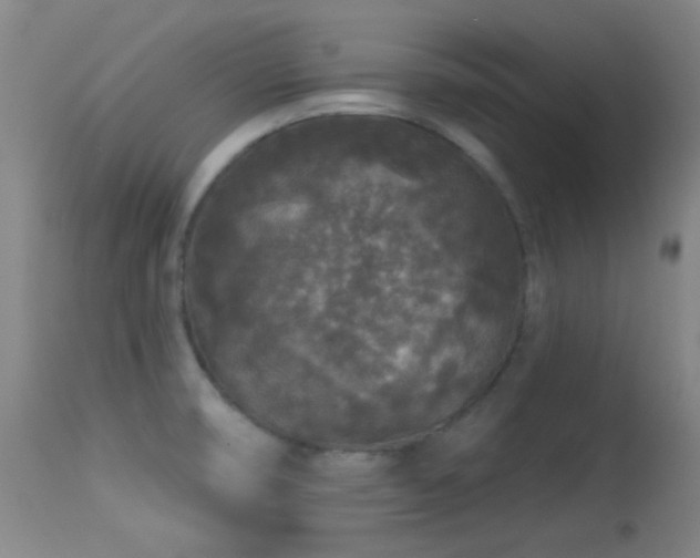 X0000113611474200909251130