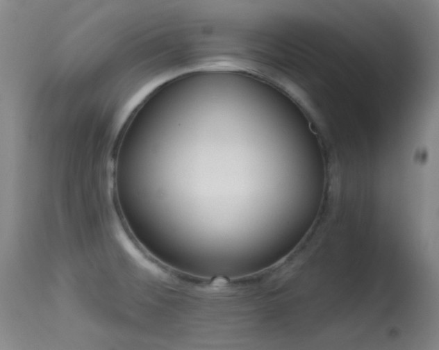 X0000113611476200909251130