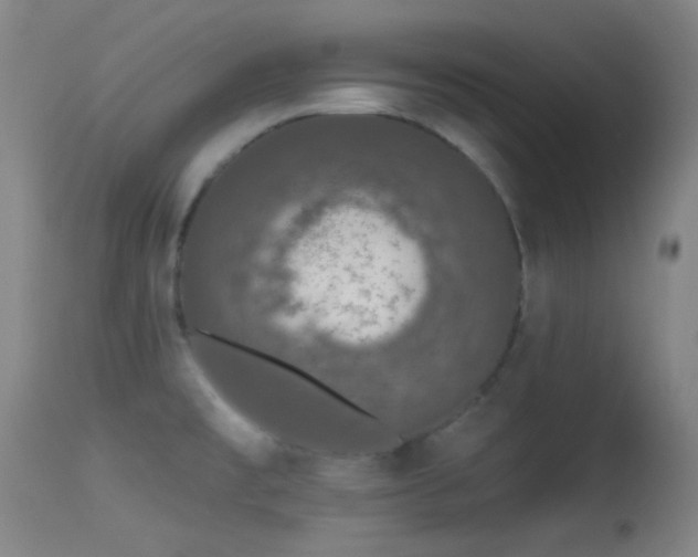 X0000113611477200909251130