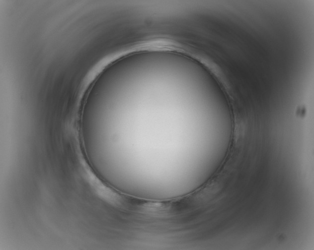 X0000113611478200909251130