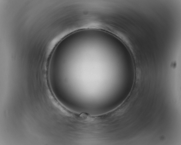 X0000113611480200909251130