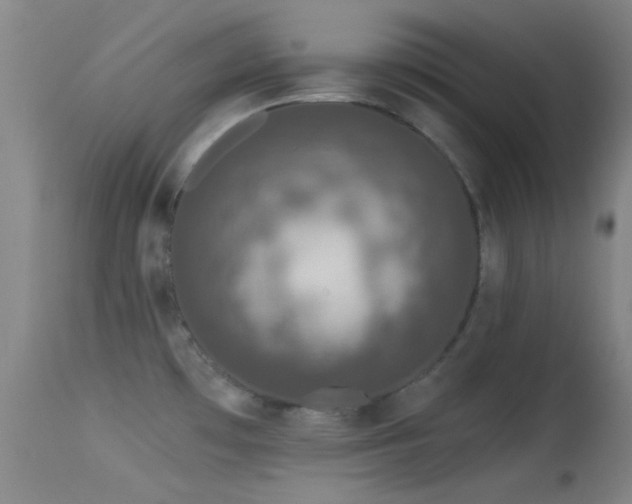 X0000113611481200909251130