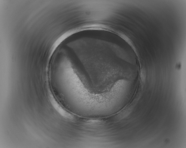 X0000113611482200909251130