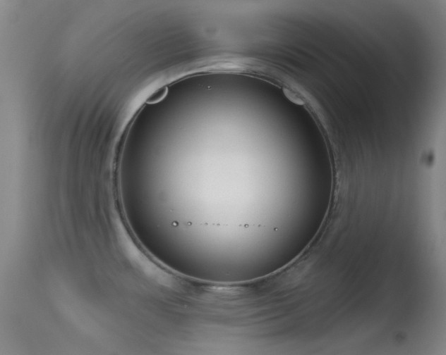 X0000113611483200909251130