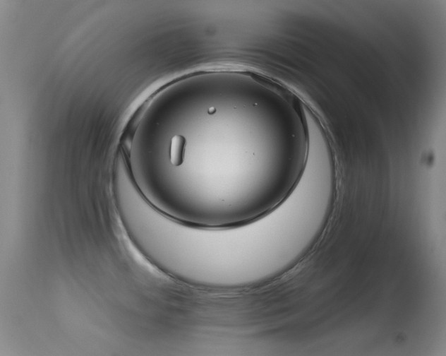 X0000113611484200909251130