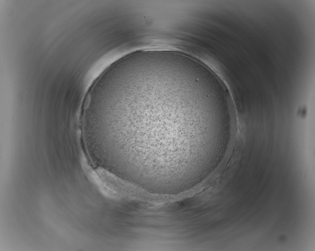 X0000113611485200909251130