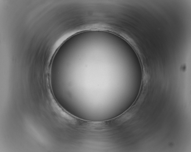 X0000113611486200909251130