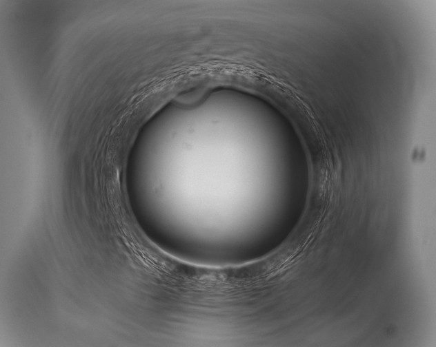 X0000113611489200909251130