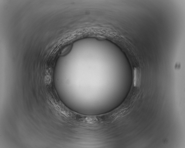 X0000113611491200909251130