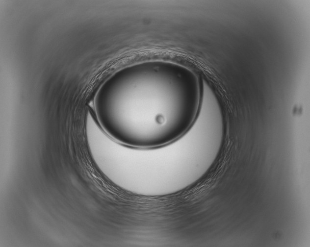 X0000113611492200909251130