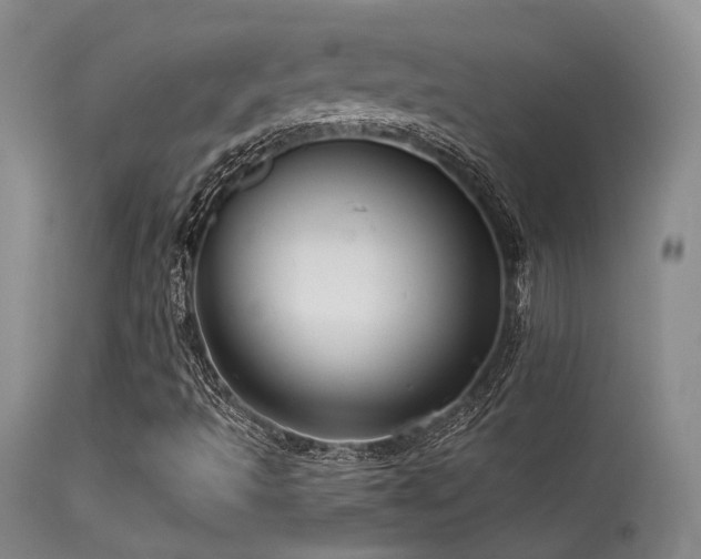 X0000113611493200909251130