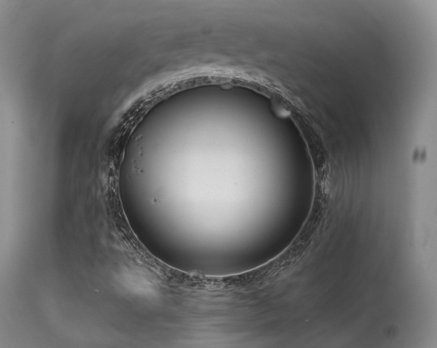 X0000113611495200909251130