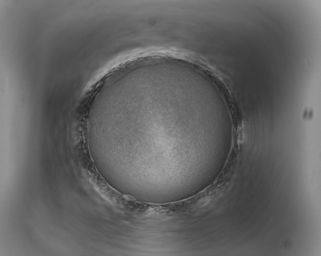 X0000113611496200909251130