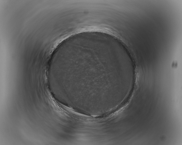 X0000113611497200909251130