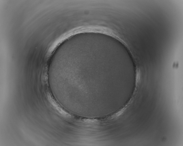 X0000113611498200909251130