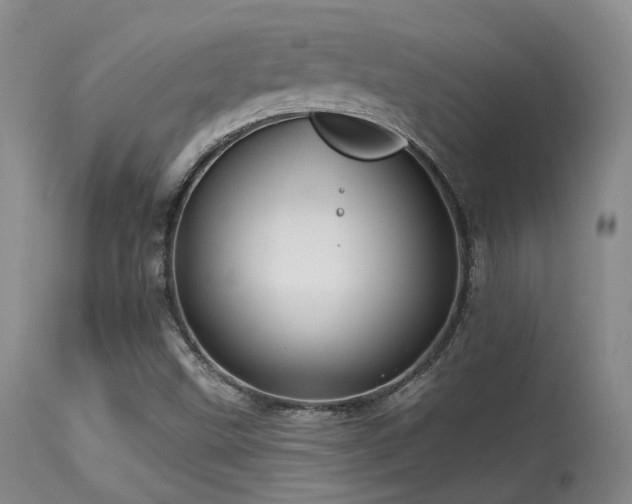 X0000113611499200909251130