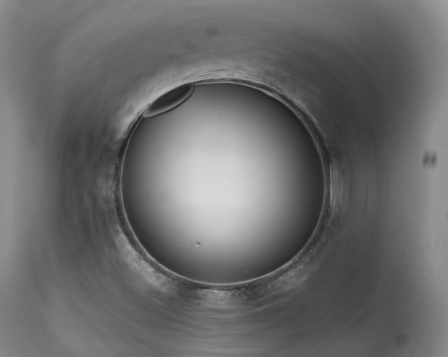 X0000113611500200909251130