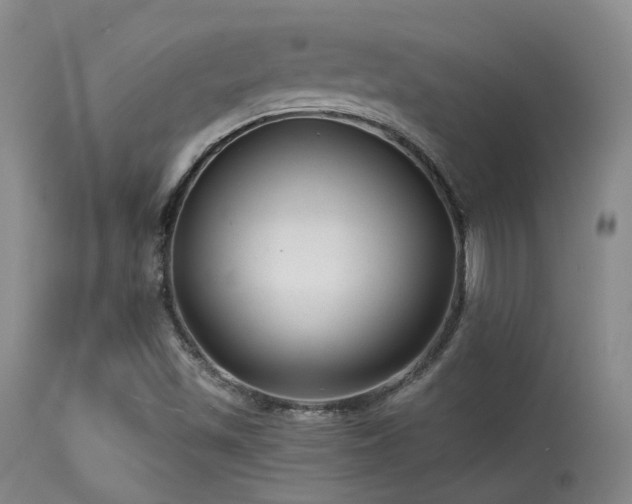 X0000113611501200909251130