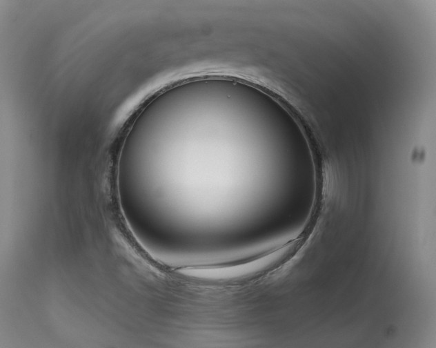 X0000113611502200909251130