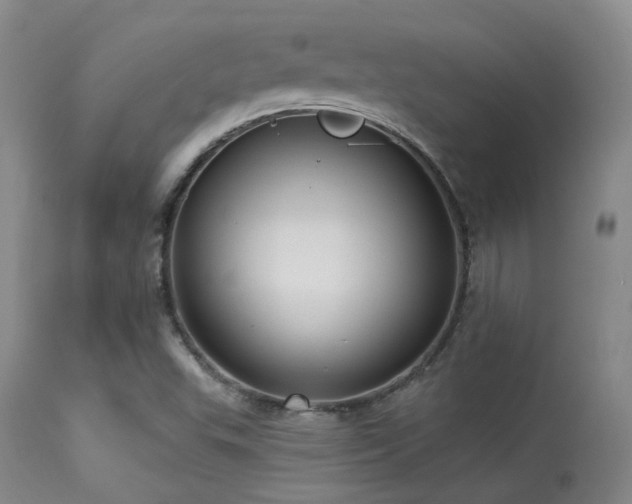 X0000113611503200909251130