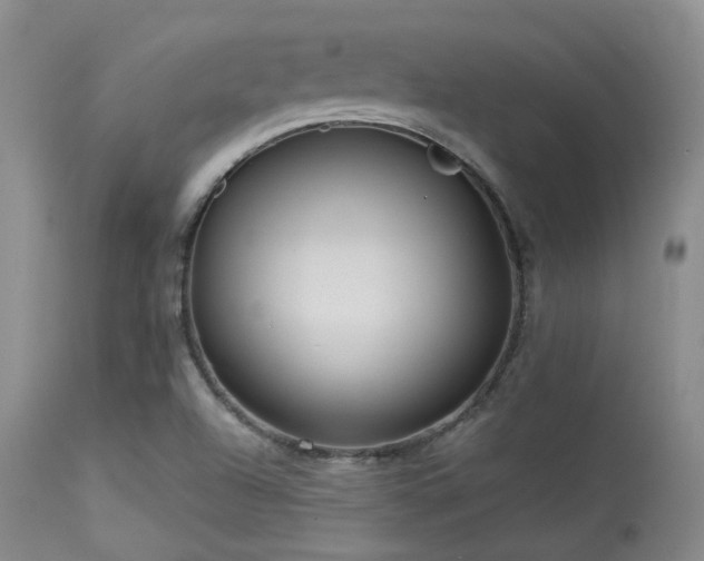 X0000113611504200909251130