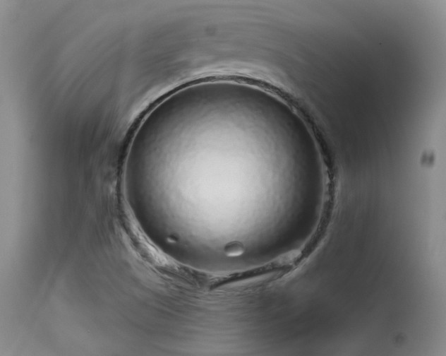 X0000113611505200909251130