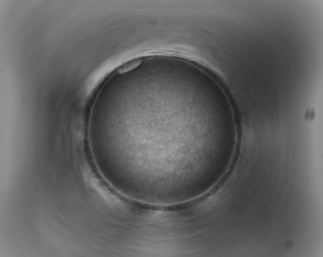 X0000113611506200909251130