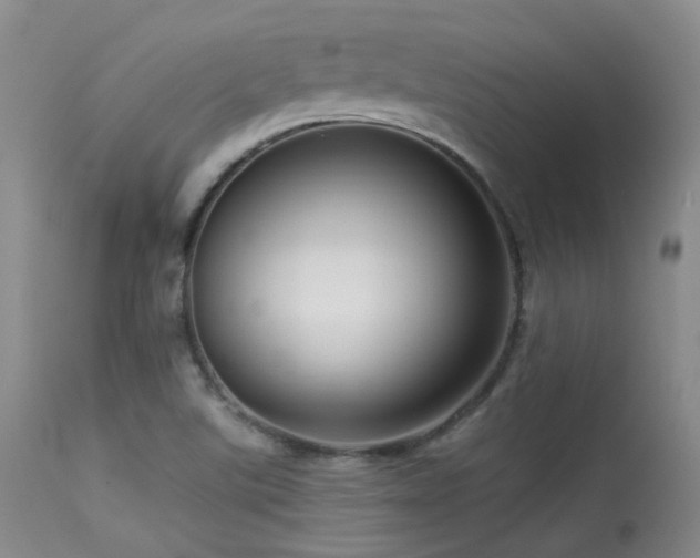 X0000113611507200909251130