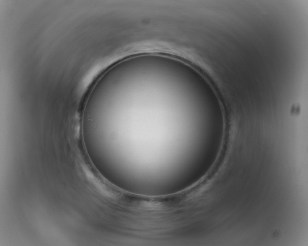 X0000113611509200909251130