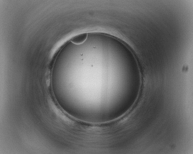 X0000113611510200909251130