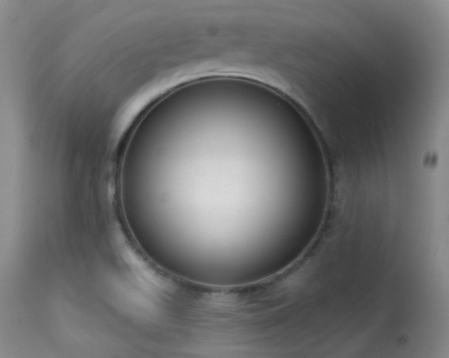 X0000113611511200909251130