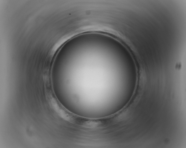 X0000113611513200909251130