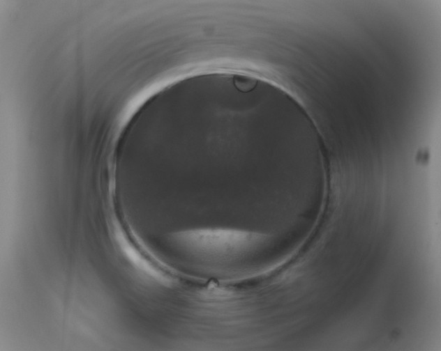 X0000113611515200909251130