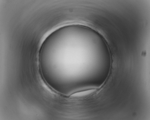 X0000113611516200909251130