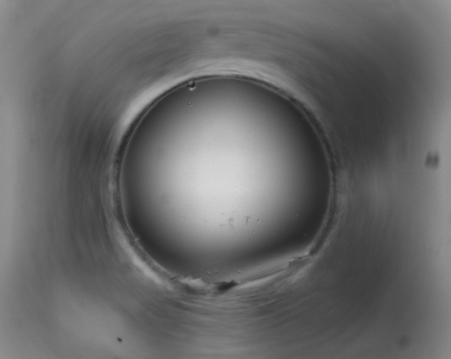 X0000113611517200909251130