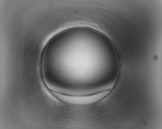 X0000113611518200909251130