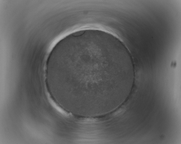 X0000113611519200909251130