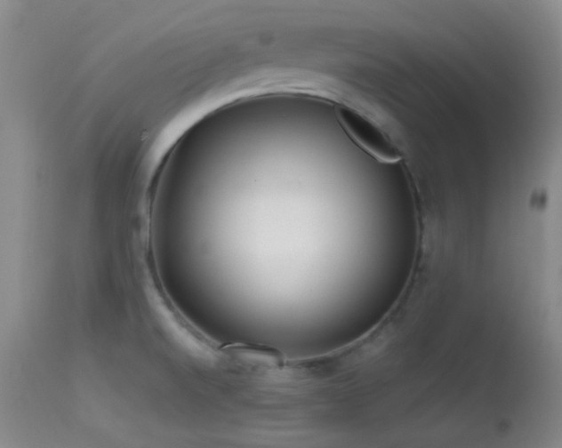 X0000113611520200909251130