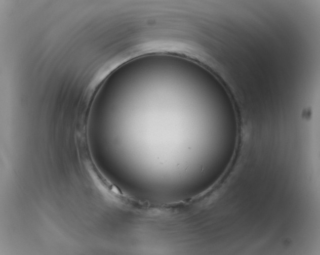 X0000113611521200909251130