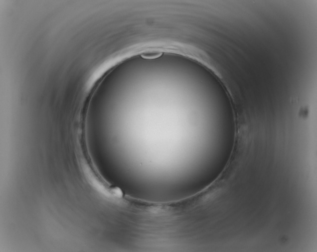 X0000113611523200909251130