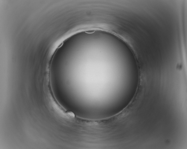 X0000113611524200909251130