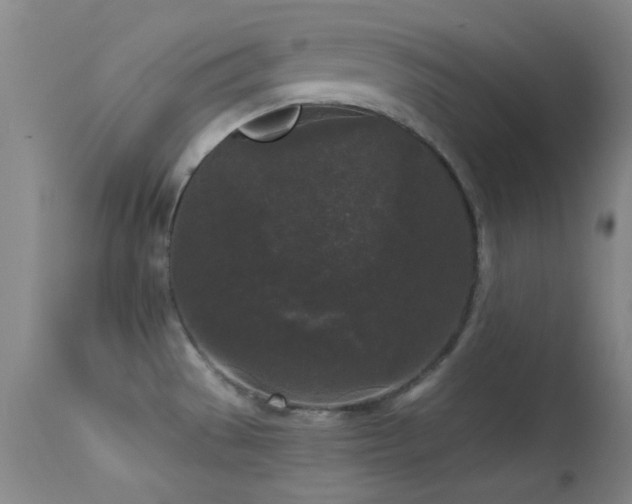 X0000113611529200909251130