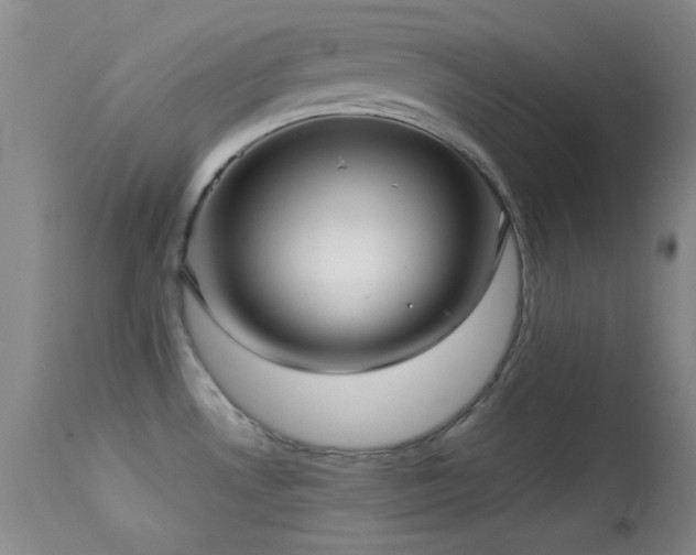 X0000113611530200909251130