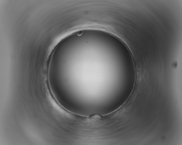 X0000113611531200909251130