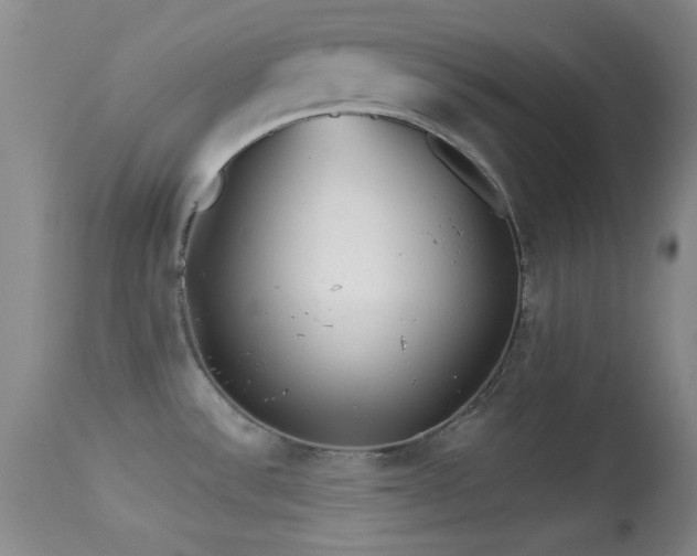 X0000113611532200909251130