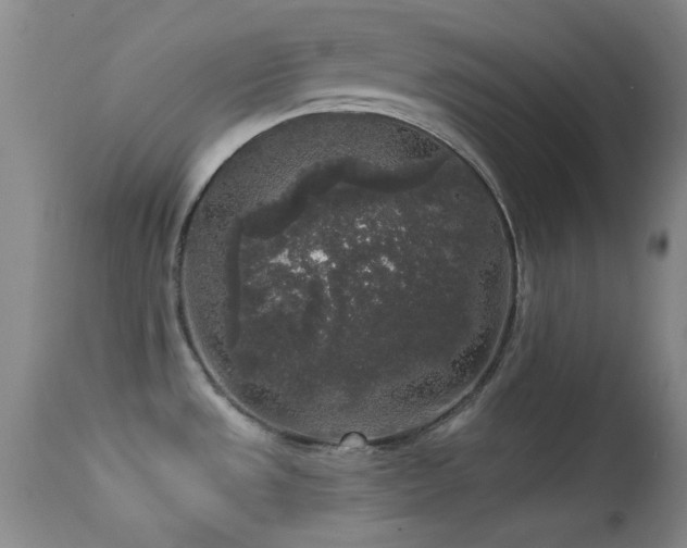 X0000113611533200909251130