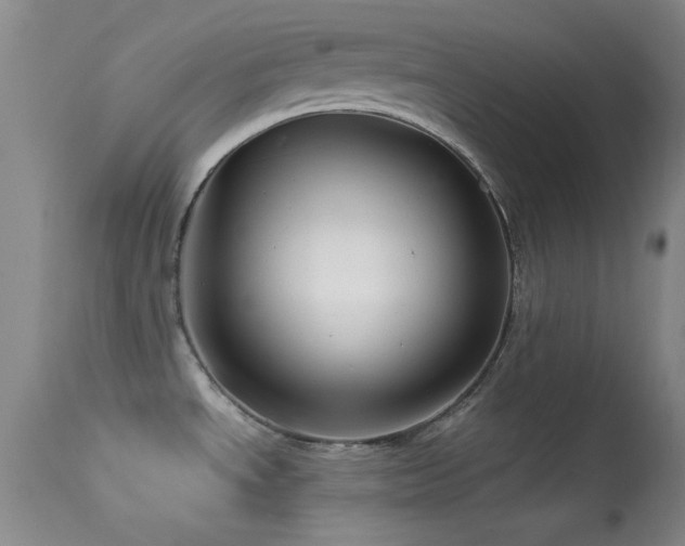 X0000113611534200909251130