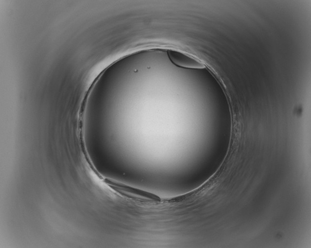 X0000113611535200909251130