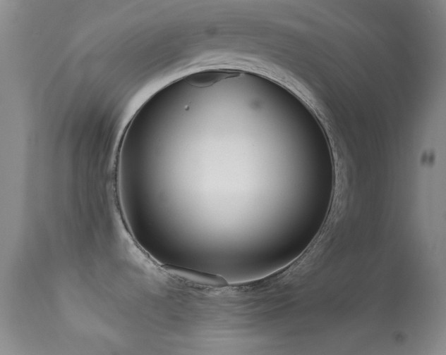 X0000113611536200909251130